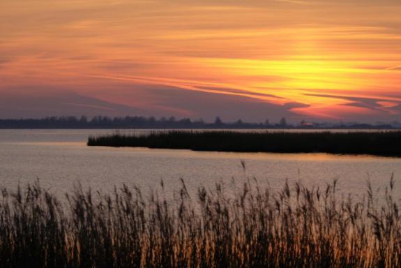 Enjoy Meer Und See Ferienhaus -In Lauwersoog- 1-6 Pers- 3 Schlafzimmer- Fruehes Einchecken Ab 14 Uhr Экстерьер фото